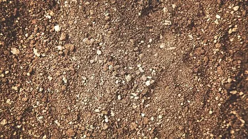 Soil Classification Image